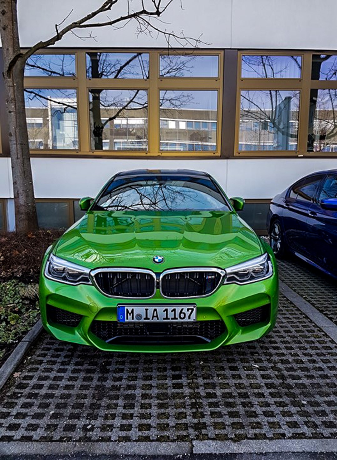 Зеленая м5. BMW m5 f90. BMW m5 f90 CS. BMW m5 f90 Green. BMW m5 f90 бирюзовый.